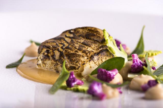 EIPIC Scorched Cod 3 low res