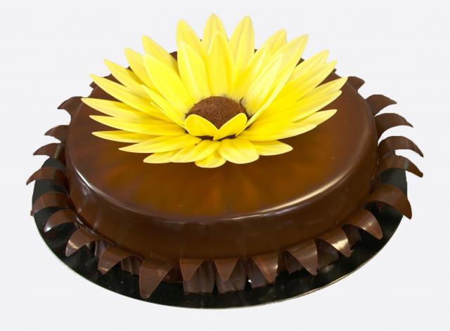 Creative chocolate cake