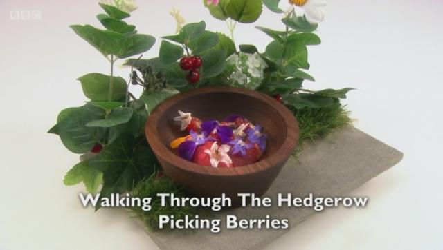 Josh Overington's Walking Through The Hedgegrow Picking Berries