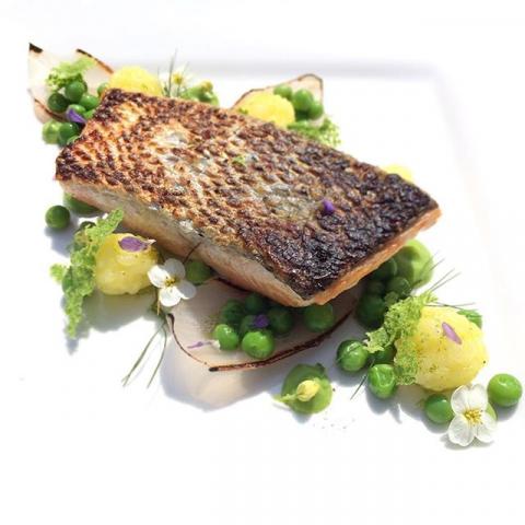 Salmon, sushi rice, pea wasabi purée, pea textures by chef Debbie Thorpe, The Staff Canteens most liked Instagram images, food pics