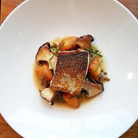 Pan seared Lake Huron Whitefish w/a ragout of braised Savoy cabbage, Puy lentils, wild rice, smoked mushrooms, brown butter, lemon and fried gnocchi by @chefmdleary