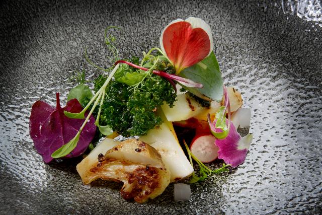 A walk through Ken's garden