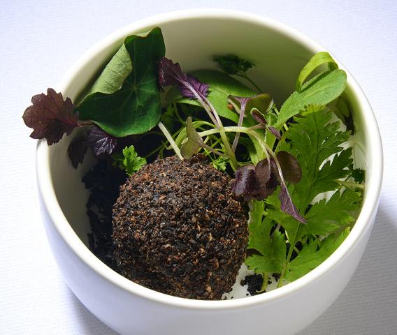 Snack: chicken truffle organic garden