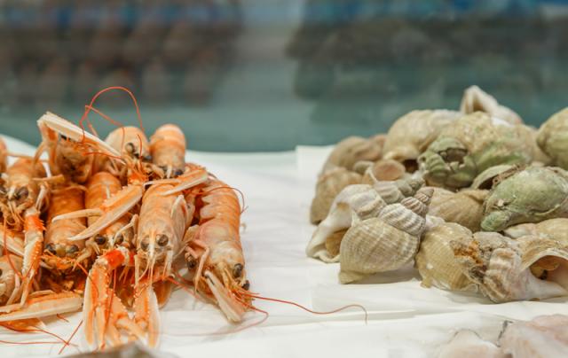 Langoustine and whelks
