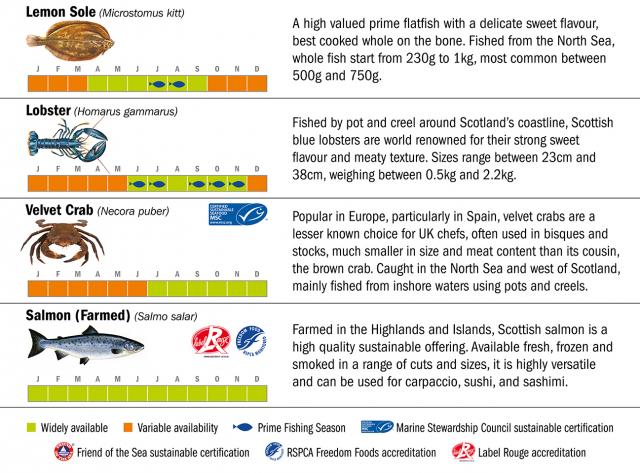 East Coast Seafood Seasonal Chart