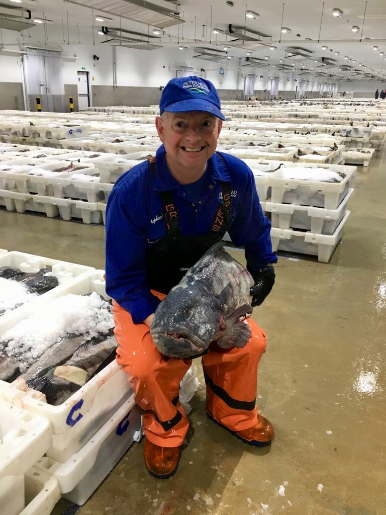 Stephen Buchan of Peterhead Fish Company with 25kg Cat fish