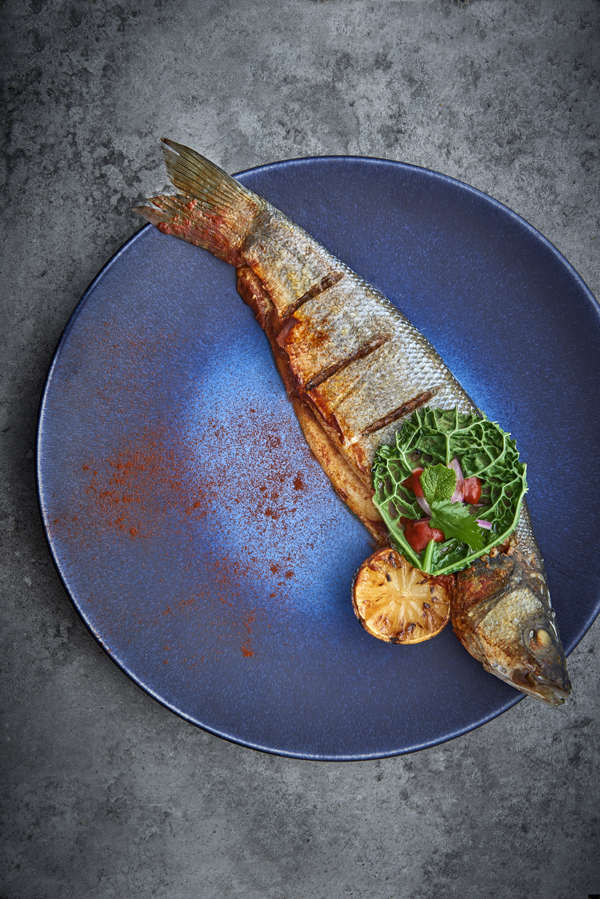 Firedanced seabass low res