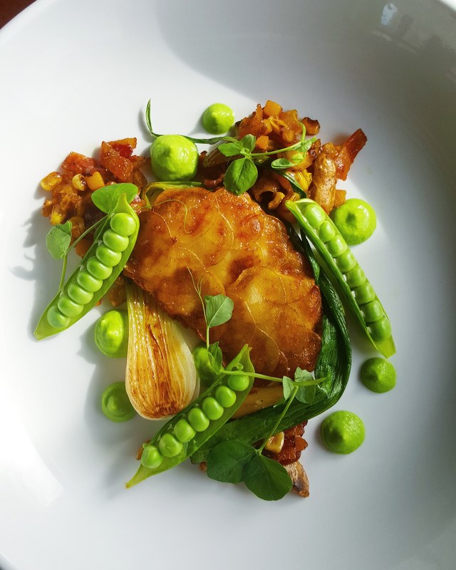 Potato crusted rockfish, fingerling potato, butternut squash, sweet corn and candied bacon succotasch, roasted spring onion, sweet pea and tarragon puree by chef Zachary Miller, chefs to follow on Instagram, food pics, social media, The Staff Canteen, In