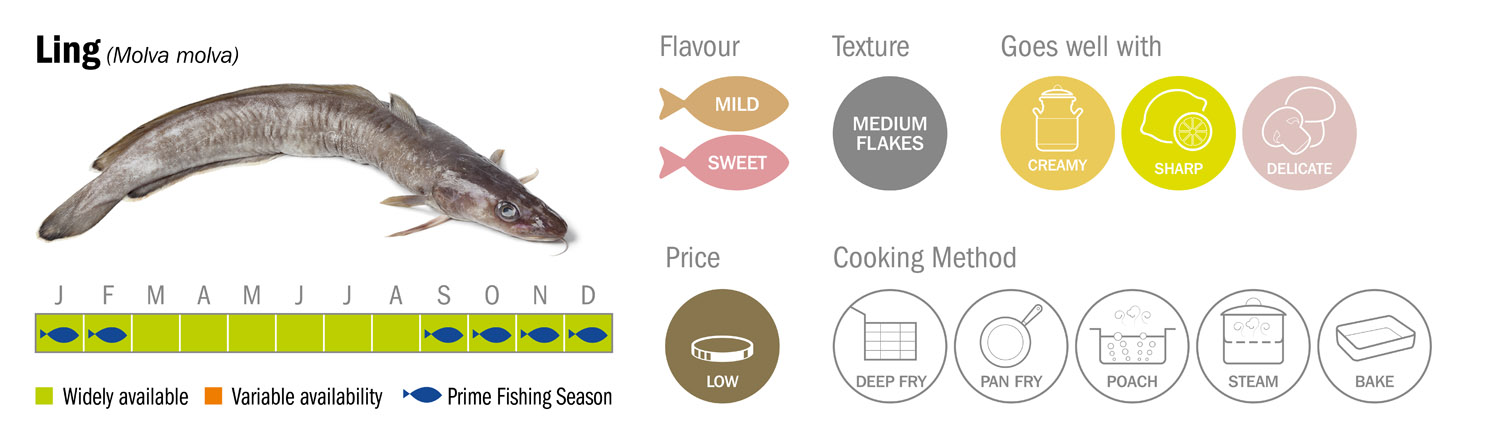 Ling Seafood Species Descriptor Graphic