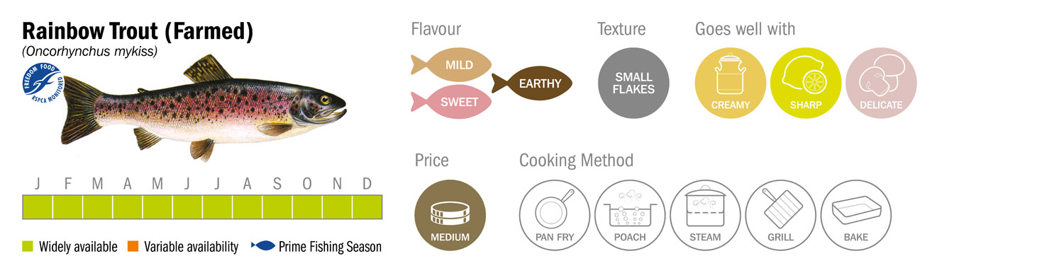 Rainbow Trout (Farmed) Seafood Species Descriptor Graphic2