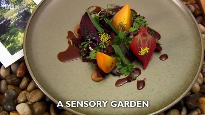 a sensory garden