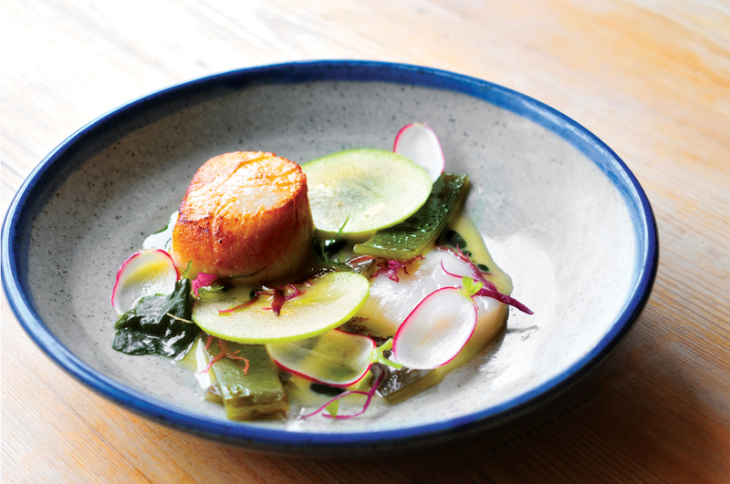 EDITscallopCMYK low res